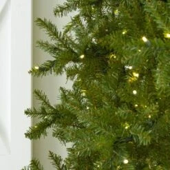 12' Indoor LED McKenzie Noble Fir Christmas Tree - Warm White -Twinkly Sales Shop t it 12 1213 ww 3