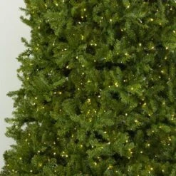12' Indoor LED McKenzie Noble Fir Christmas Tree - Warm White -Twinkly Sales Shop t it 12 1213 ww 4