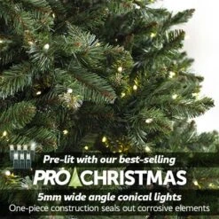 Twinkly Sales Shop -Twinkly Sales Shop t it 75 1214 ww t it 9 1215 ww oregon grand fir lights 2