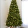 9' Indoor LED McKenzie Noble Fir Christmas Tree - Warm White