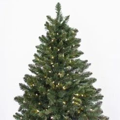 9' Indoor LED Oregon Grand Fir Christmas Tree - Warm White 8 9' Indoor LED Oregon Grand Fir Christmas Tree - Warm White -Twinkly Sales Shop t it 9 1215 ww 2
