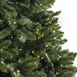 12' Indoor LED Oregon Grand Fir Christmas Tree - Warm White -Twinkly Sales Shop t it 9 1216 ww 3a