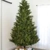 9' Indoor LED Upswept Norway Spruce Christmas Tree - Warm White